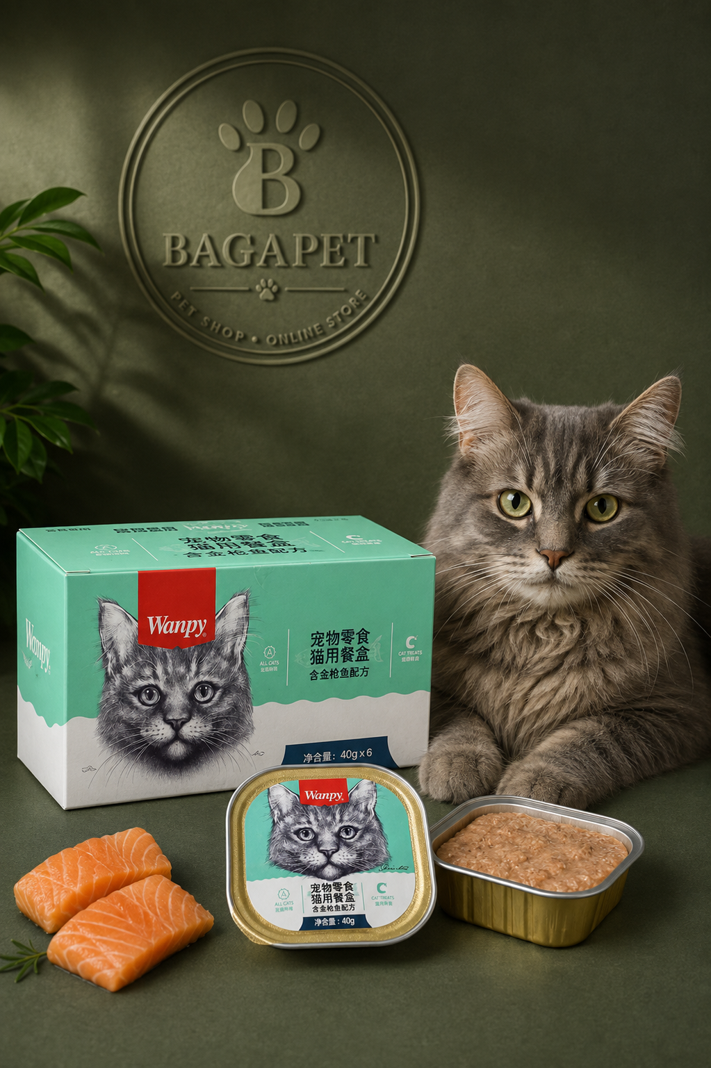 ووم (غذای کاسه ای)گربه ونپی با طعم سالمون Wanppy Salmon Mousse وزن 40 گرم